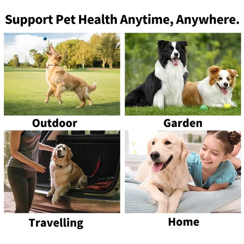 Pet cleaning products Disposable finger toothbrush Pet teeth cleaning finger covers wet wipes Dog and cat oral cleaning - H. home supplies