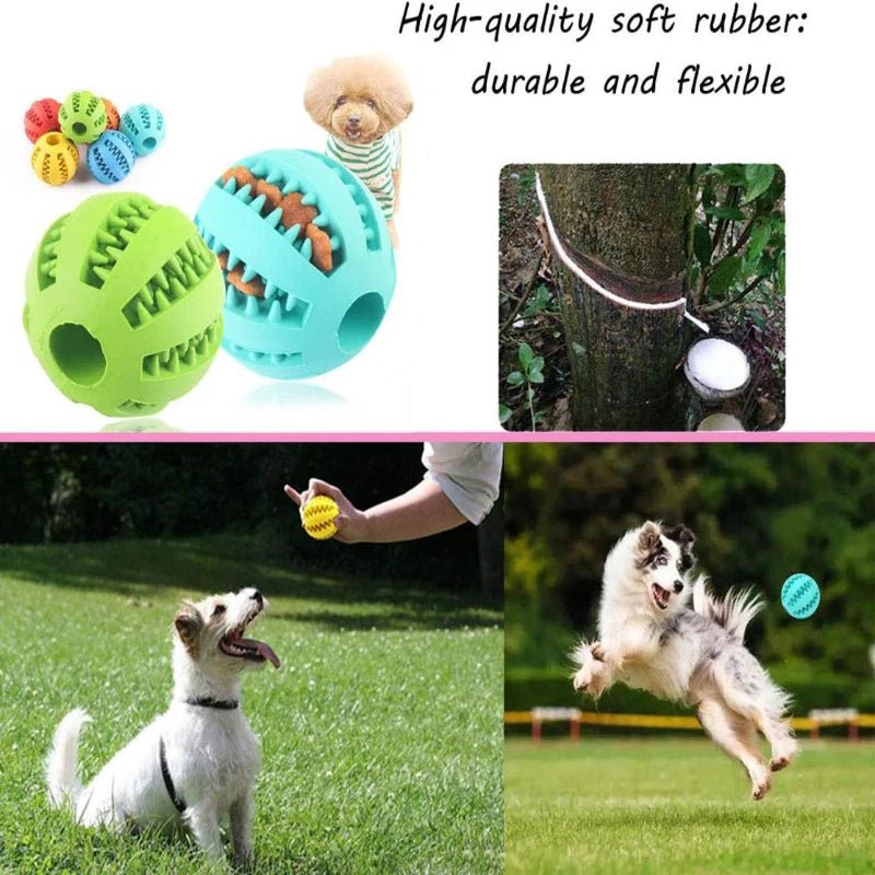 Dog Toy Ball Interactive Rubber Balls Puppy Chewing Toys Pet Tooth Cleaning Ball Cats Pets Food Treat Feeder Silicone Balls Toy - H. home supplies