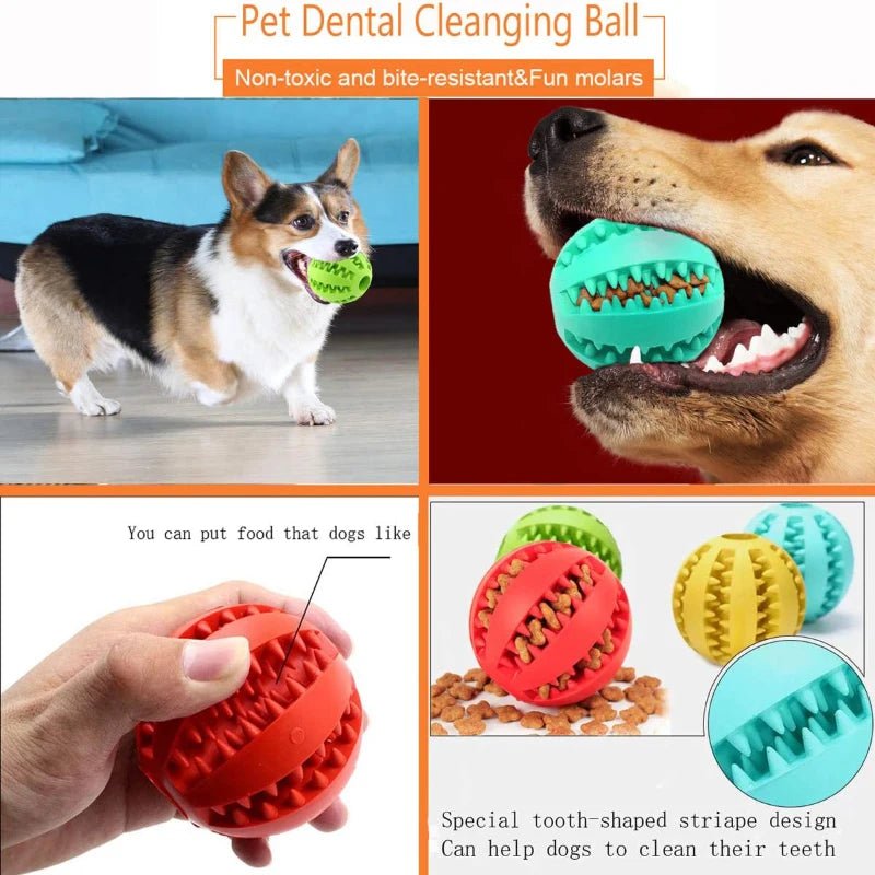 Dog Toy Ball Interactive Rubber Balls Puppy Chewing Toys Pet Tooth Cleaning Ball Cats Pets Food Treat Feeder Silicone Balls Toy - H. home supplies